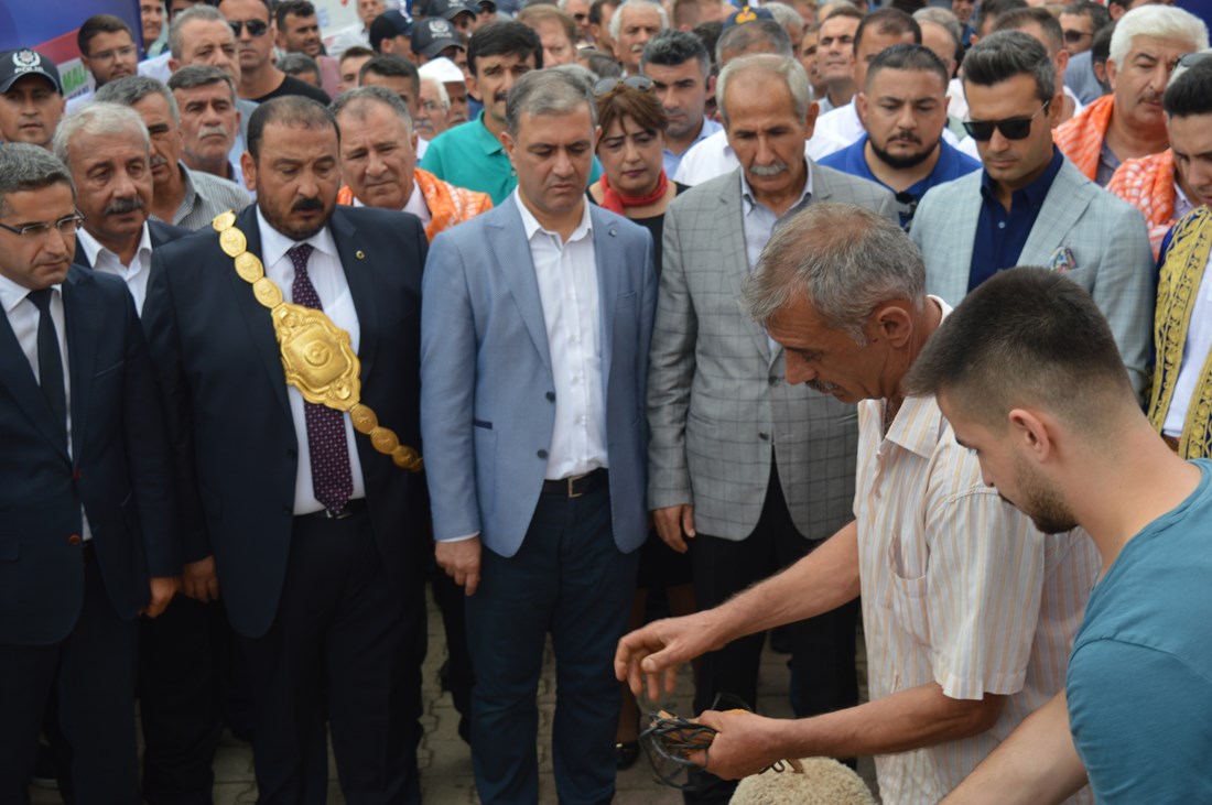 667nci_Elmalı_Güreşleri